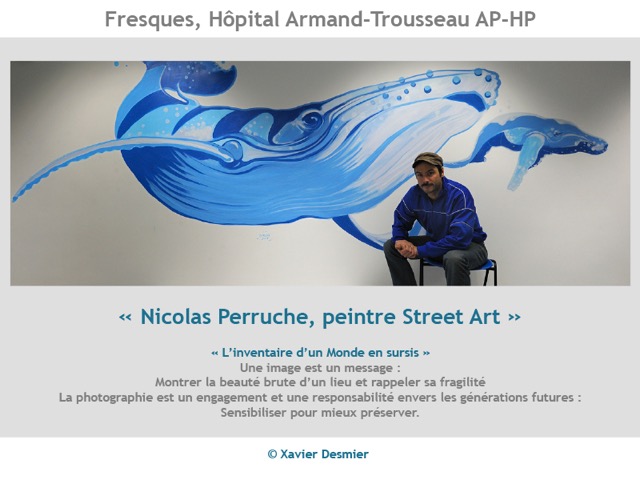Nicolas_Perruche©Xavier_Desmier-1.jpg